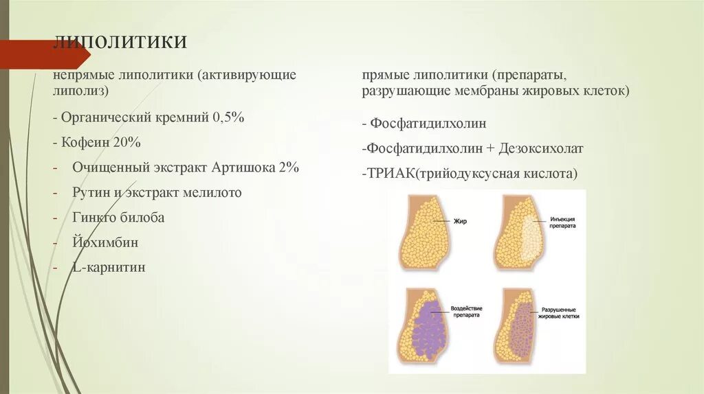 Слабый проект через сколько действует Как колоть липолитики: найдено 90 картинок