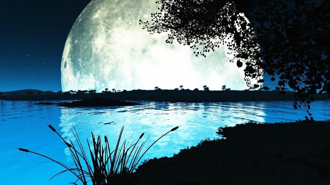 Луна живое существо. Пруд под луной. Отражение Луны в пруду. Лунный пруд. Луна над водоемом.