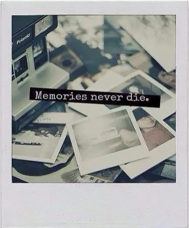 Дед меморис. The golden filter. Memories never die перевод. Memories обложка. Дед меморис.