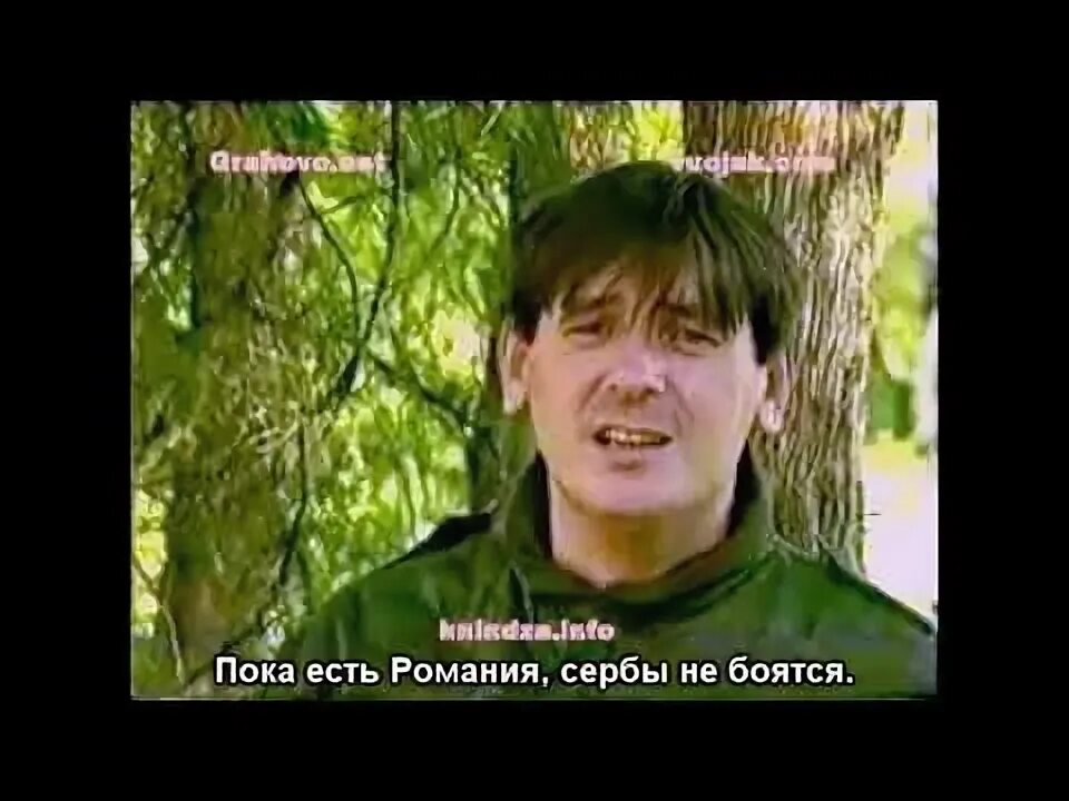 Лепи мича. Лепи мича певец. Лепи мича. Лепи мича певец. Lepi mica republika srpska.