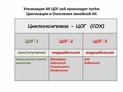 Гку цогу