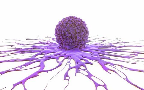Cancer cell