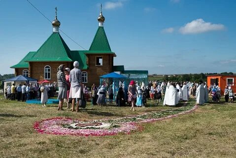 Погода в кочетовке