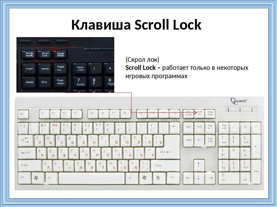 Что такое scroll lock на клавиатуре. Кнопка скролл на клавиатуре. Клавиша Scroll Lock. Кнопка Scroll Lock на клавиатуре. Скролл лок на клавиатуре.