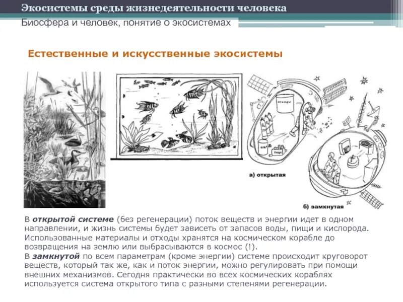 Искусственная экосистема рисунок. Защита экосистемы. Биосфера как среда жизнедеятельности людей. Управление экосистемами.