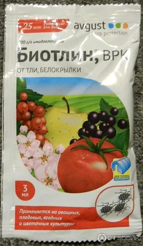 Самое эффективное средство от тли. Август от тли и белокрылки. таблетки от тли. препараты от тли на плодовых. препараты против тли на плодовых деревьях.