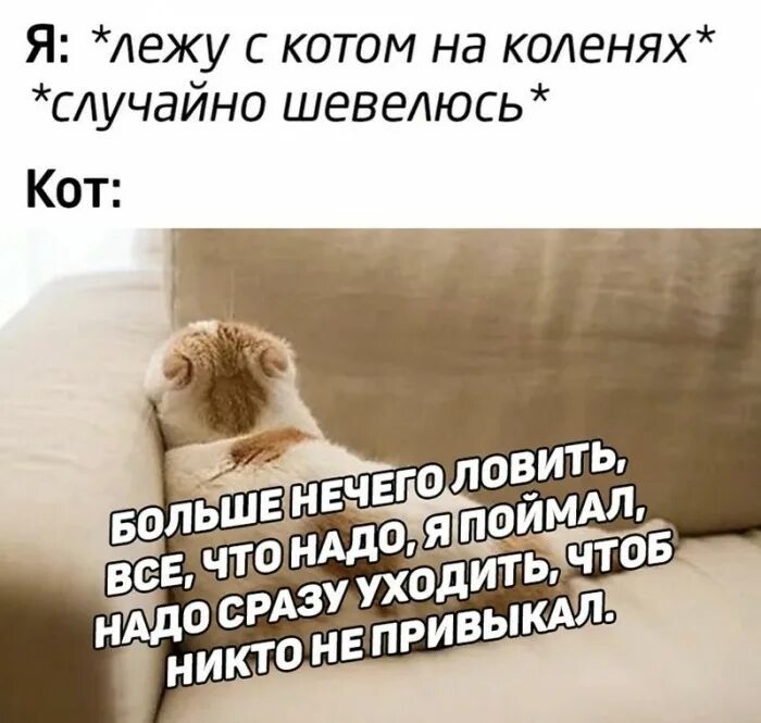 Песня надо сразу уходить чтоб никто не. Надо сразу уходить. надо сразу уходить чтоб никто не привыкал. надо сразу уходить чтоб никто. текст надо сразу уходить.