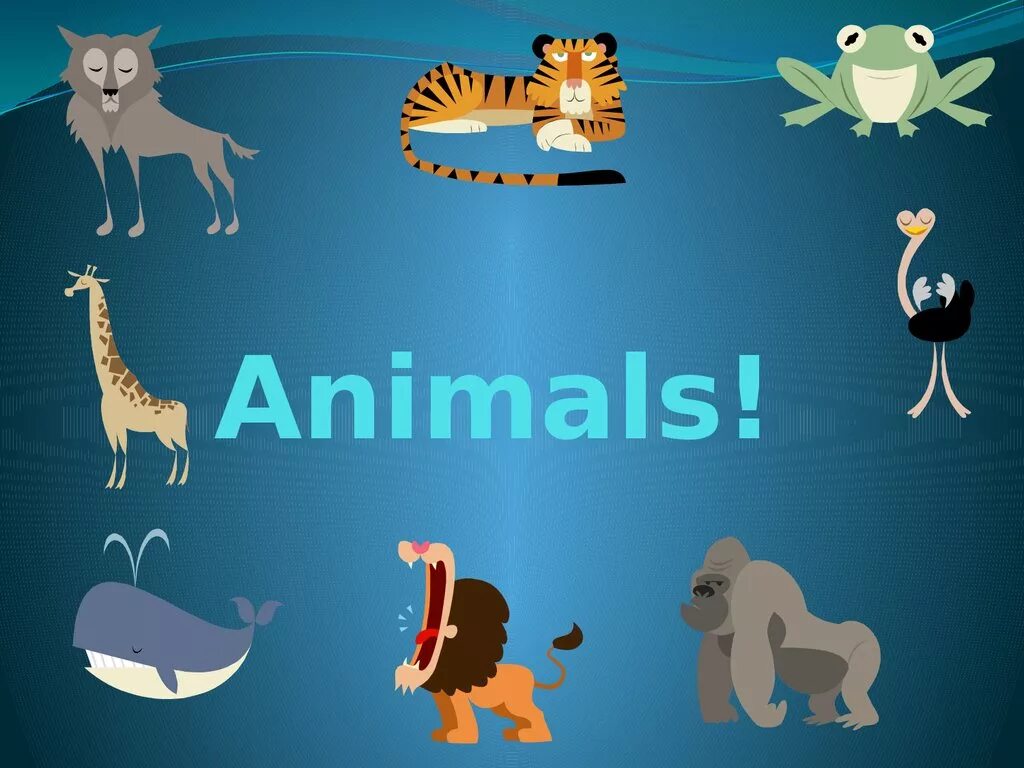 Wild animals тема