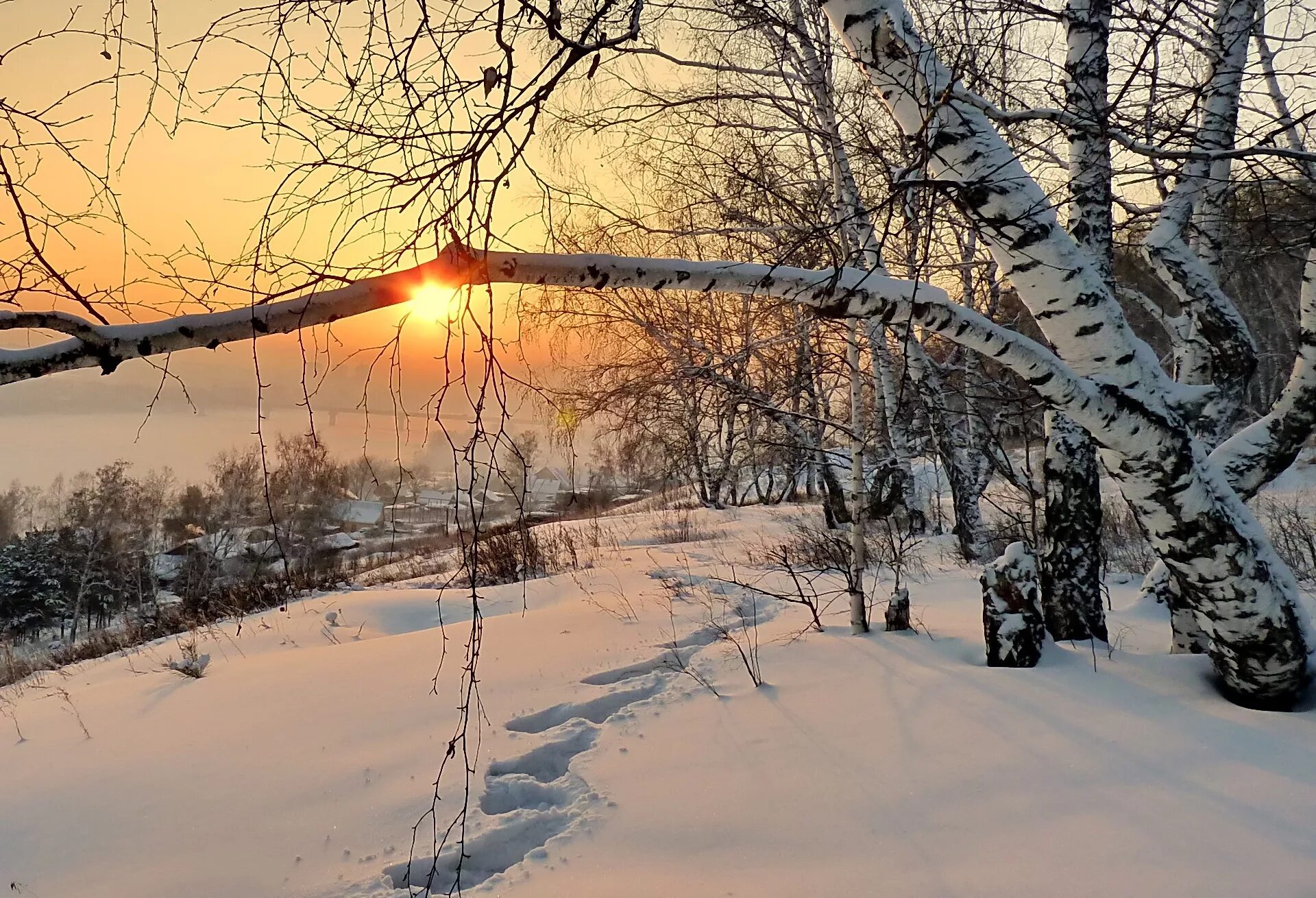 Утро природа февраль. Зимний пейзаж. Февральский пейзаж. Морозное солнечное утро. Зимний закат.