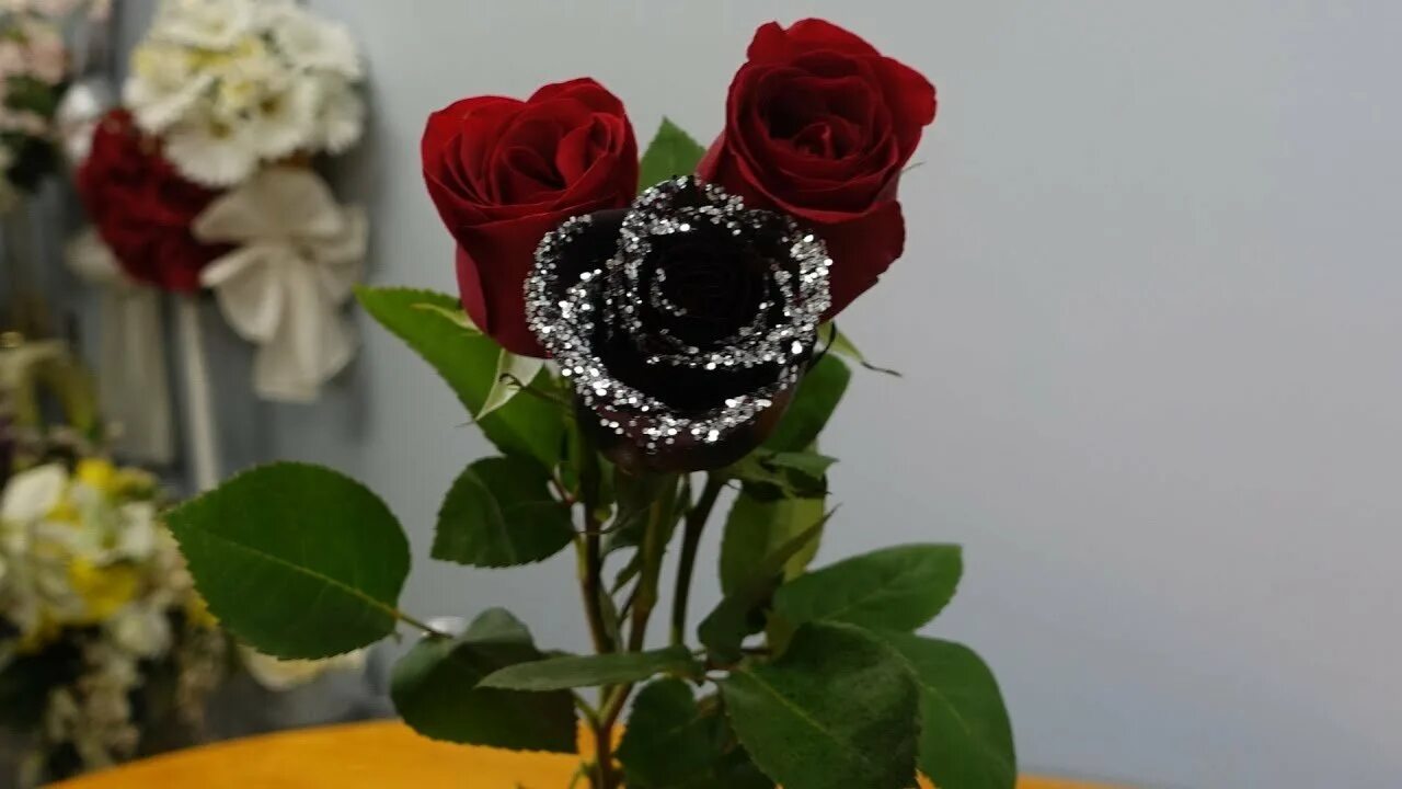 Открыли розы а они черные что. Крашенные розы. черные розы крашеные. покрасить розы в черный цвет. чёрные розы как сдеоать.