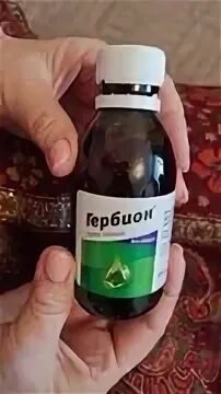 Гербион. Геделикс сироп аналоги. Сироп от кашля с плющем. Сироп от кашля с плющом. Сироп от кашля с плющом проспан.
