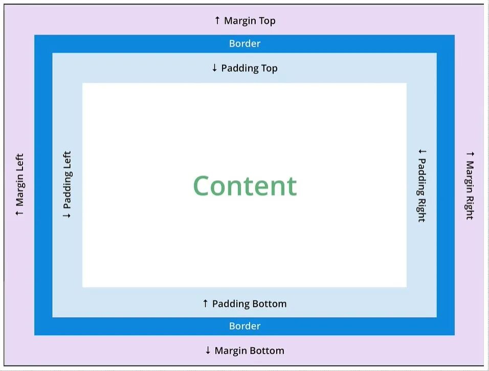 Margin в html. Margin padding. Margin-Top. Margin расположение. Margin-bottom.