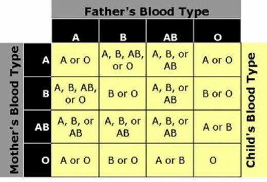 Childish type. Blood type certificate. Blood parents. Blood type parents. Blood parents.