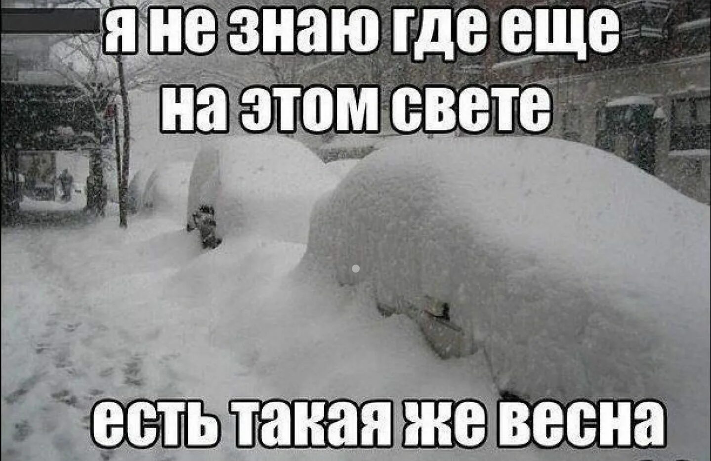 Не видевшие нашей зимы. Шутки про снежную весну. Снег весной приколы. Снег в марте приколы. Снегопад смешно.