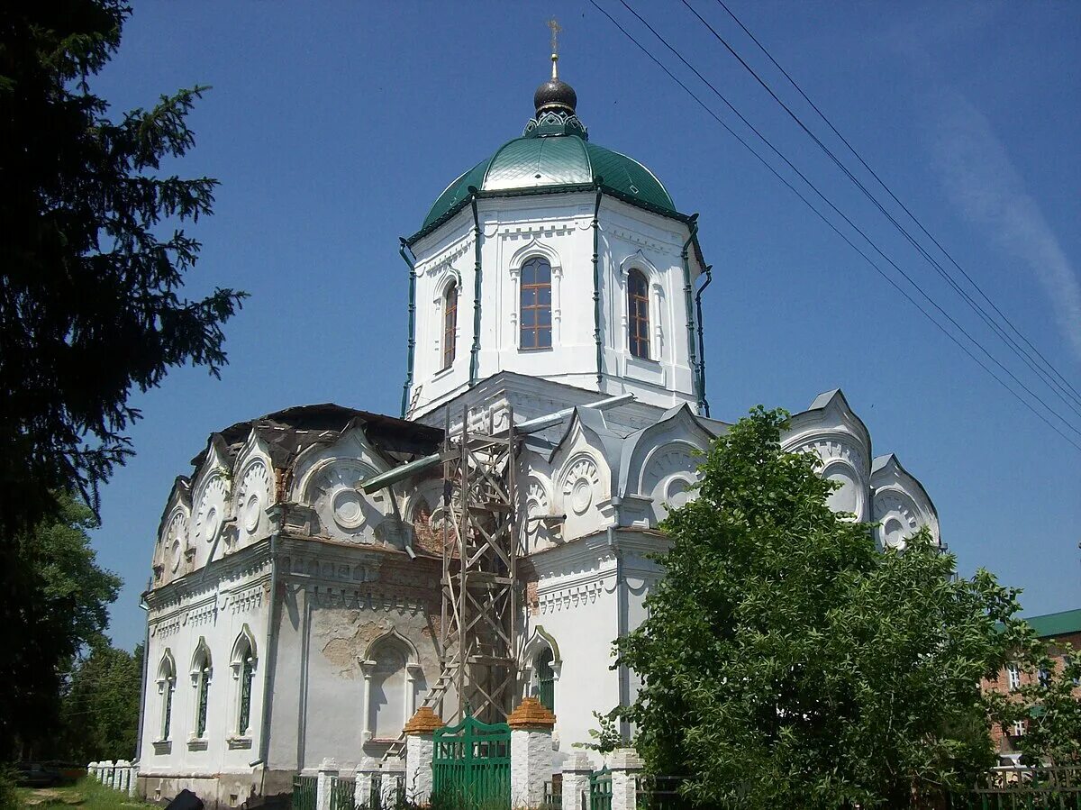 Толшевский монастырь воронежский биосферный заповедник. Спасо-преображенский монастырь воронеж. Толшевский монастырь воронежская область. Женский монастырь в заповеднике воронеж. Толшевская спасо-преображенская обитель.