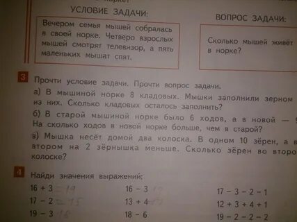 Прочитай условие задания и ответь на вопрос