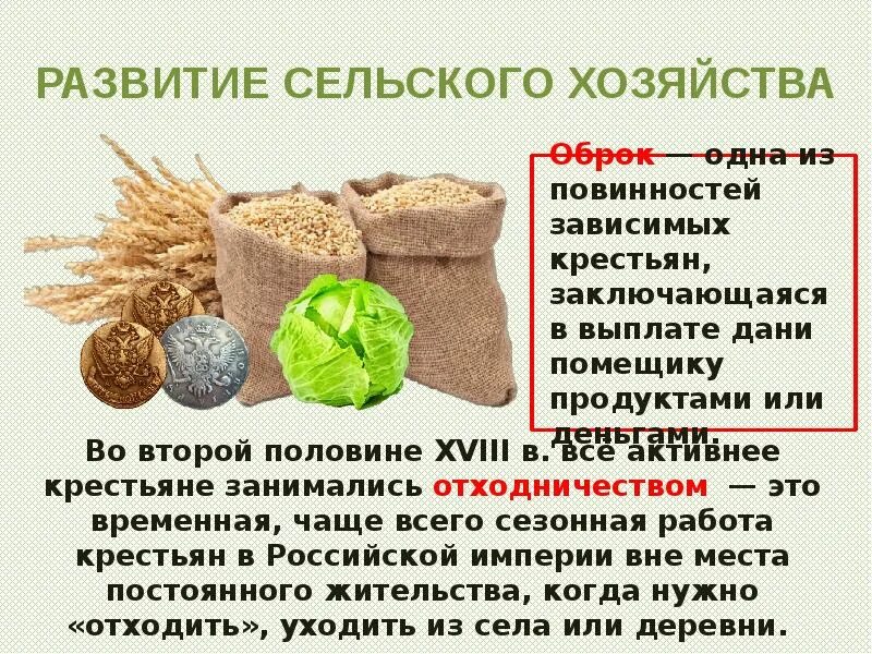 Экономическое развитие при Екатерине 2 сельское хозяйство. Экономическое развитие при Екатерине II. Развитие экономики России при Екатерине 2. Развитие сельского хозяйства при Екатерине 2.