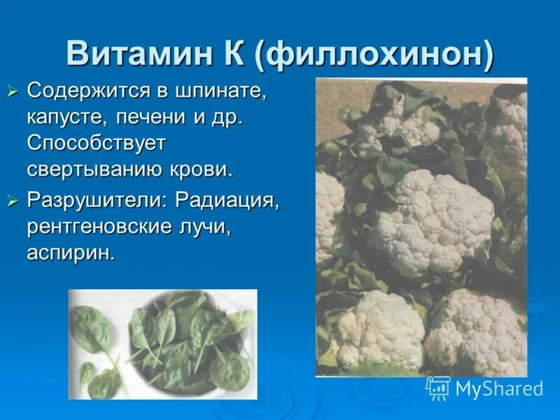 Капуста для печени