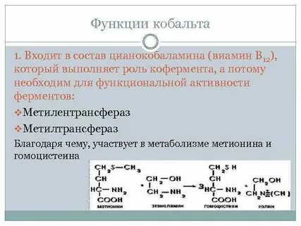 Роль кобальта в организме