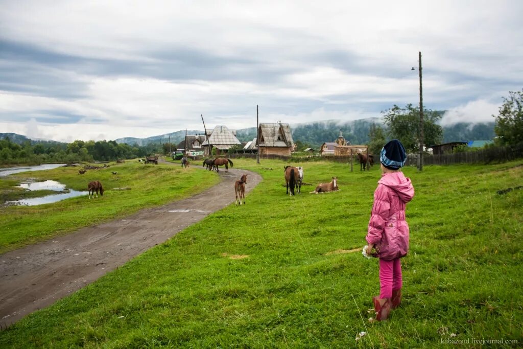 Деревня ильинка красноярский край курагинский район. Георгиевка тяжинский район кемеровская область. Алексеевка красноярский край курагинский район. Деревня курганчики курагинского района красноярского края. Новопокровка курагинский район.
