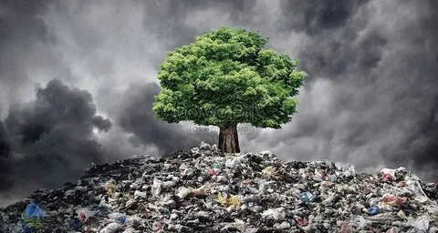 Looking after the environment