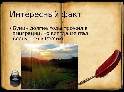 Бунин факты