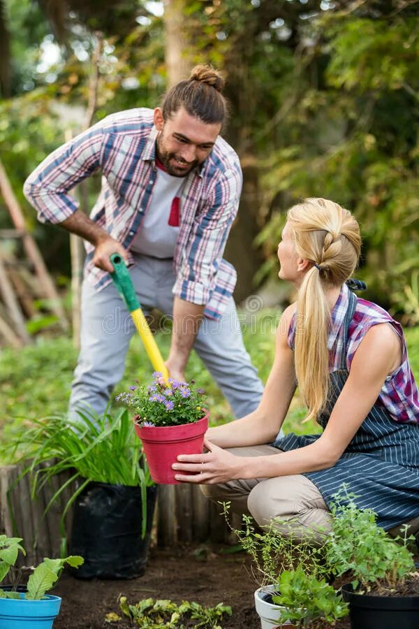 Садовник. Садовник сажает. Девушка сажает цветы. Человек сажает цветы. The gardener planted some