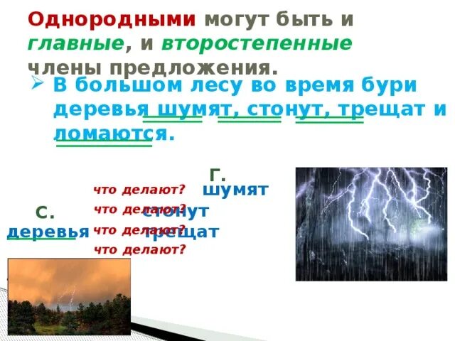 Громадный лес растянулся ответы. Однородными могут быть и главные и.