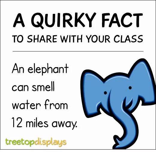 About Elephant for Kids. Elephant facts. Quirky перевод. Fun fact about Elephant.