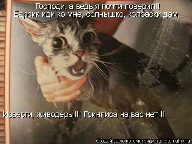 Барсик пошли домой. Смешной дурак. Я почти поверил. Барсик пошел. Барсик пошел.