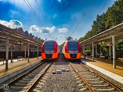 Светлогорск ласточка