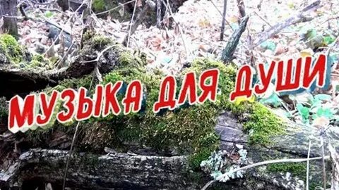 Сборник красивой музыки сергея грищука