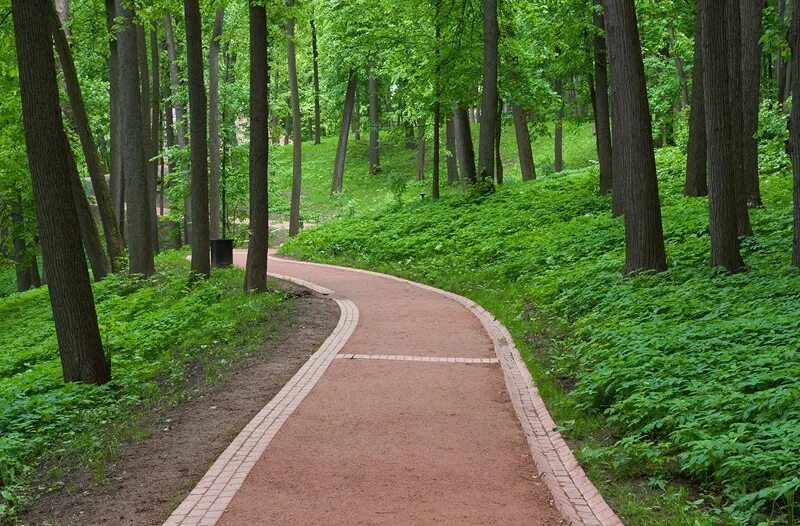Парк имеет 4 дорожки. Парк царицыно велодорожки. парк царицыно дорожки. парк царицыно гравий. парк коломенское дорожки.