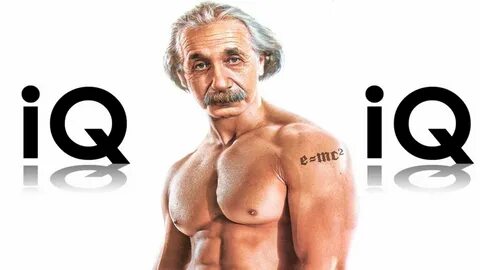 Что дает высокий iq