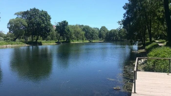 Алачково чехов-2. Чеховский пруд аксеново. Капустино рыбалка чеховский. Чеховские пруды. Чехов город пруд.