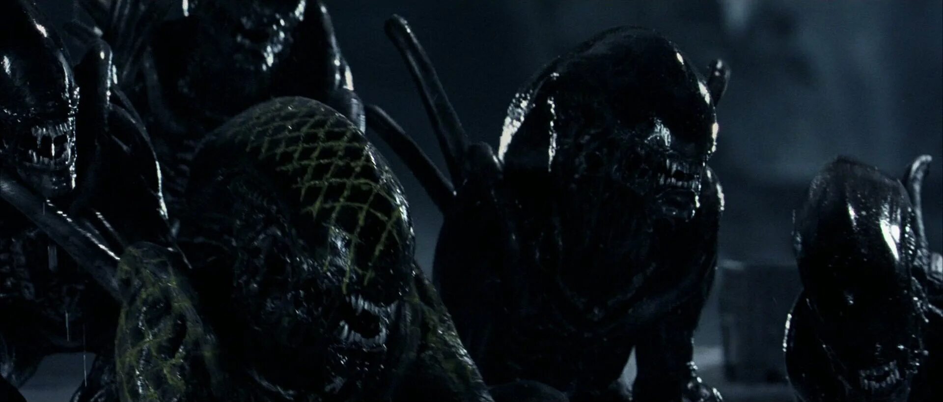 Чужой против хищника 2007. Брай край чужих земель. Чужой 5 концепт арты бломкамп. Королева ксеноморфов чужой против хищника 2005. Брай край чужих земель.