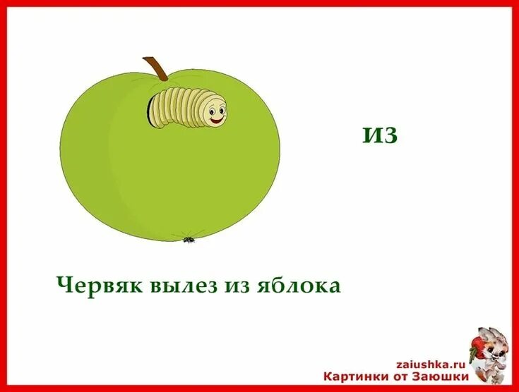 Я червяк стих. Предлог из. червяк вылезает из яблока. предлоги для малышей обучающие карточки. червяк в яблоке картинки.