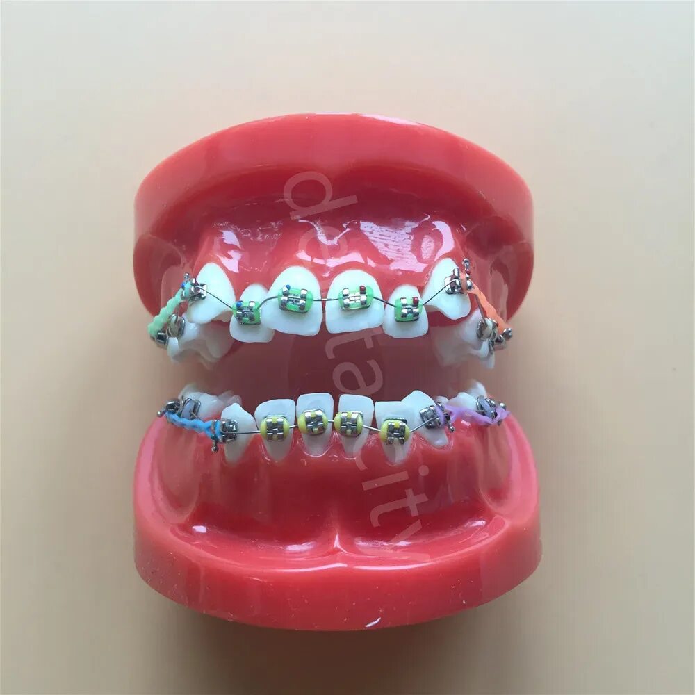 Купить материал для зубов. Типодонт ортодонтический. Проволока ортодонтическая стоматологическая. Резиночка для брегитов.