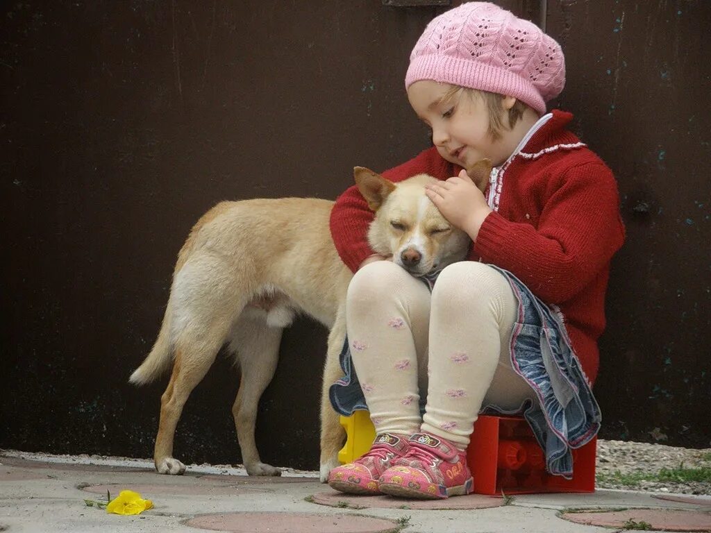 Сочувствие животным. Доброта картинки. Добро к животным. Собака для детей.