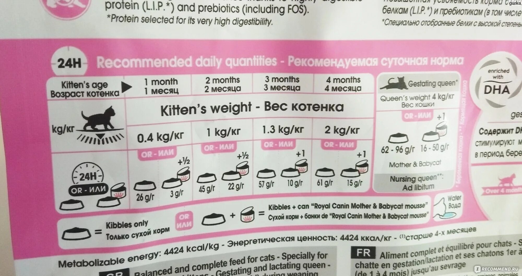Сухой корм для котят 4 месяца. Корм для котят. норма корма роял канин для котят. влажный корм для сфинксов. корм для котят от 1 месяца.