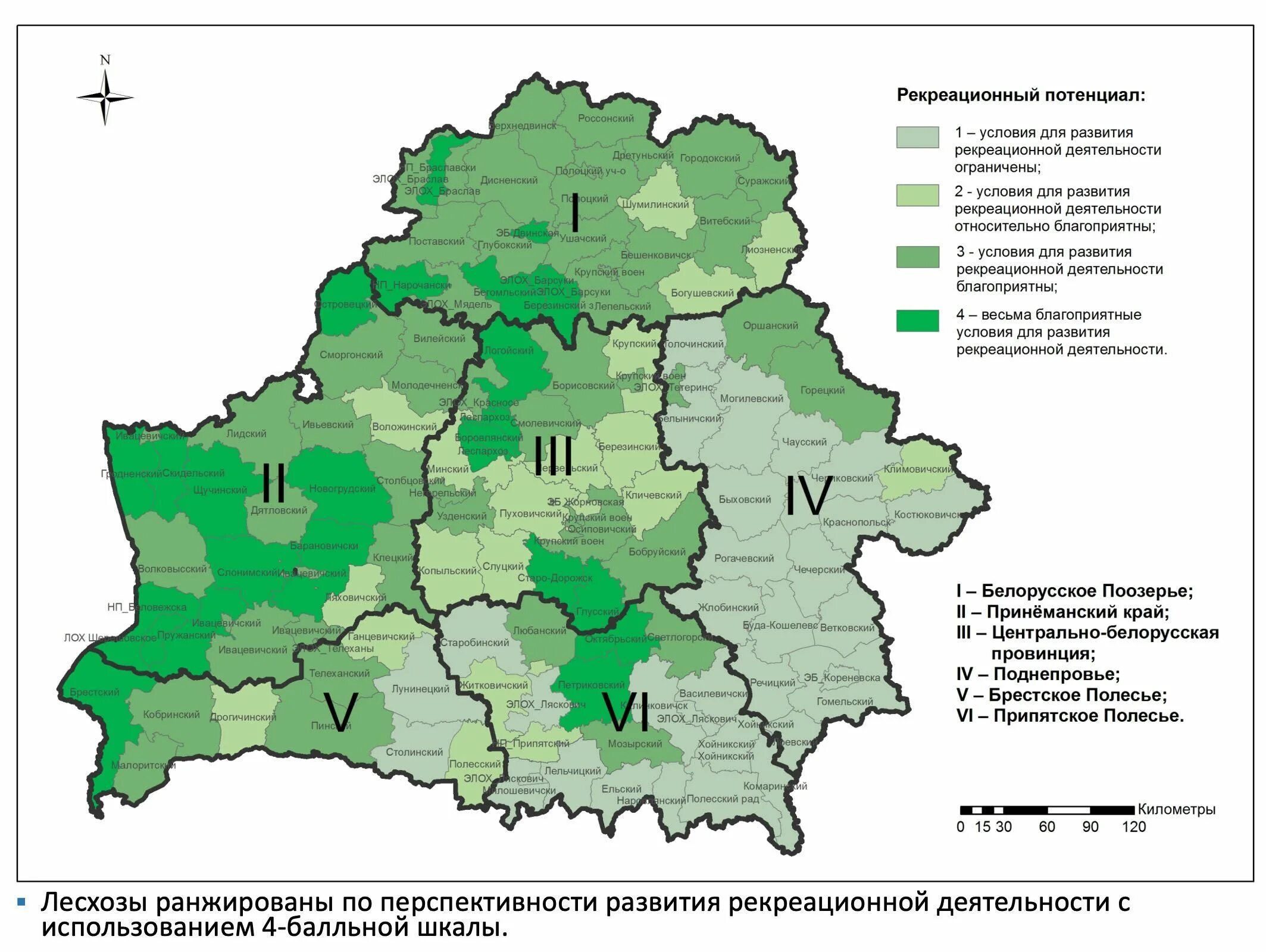 Рекреационный потенциал леса. Лесные ресурсы Беларуси карта. Карта лесов Белоруссии. Районы Беларуси. Области Белоруссии.
