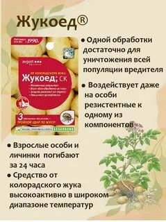 Жукоед как разводить