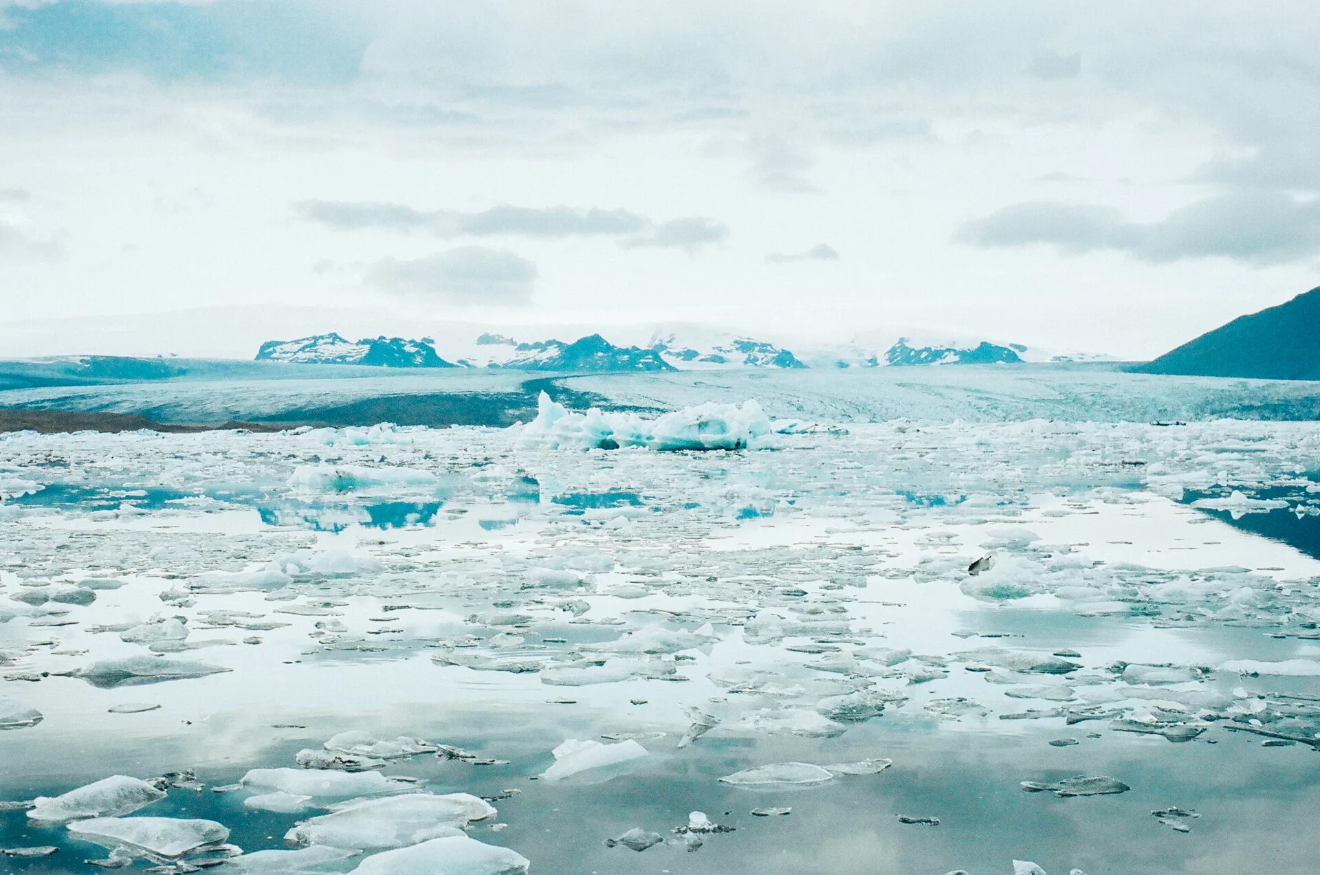 Как меняется природа арктических морей. Арктика Северный Ледовитый океан. Северный Ледовитый океан лед море. Исландия Северный Ледовитый океан. Льды Северного Ледовитого океана.