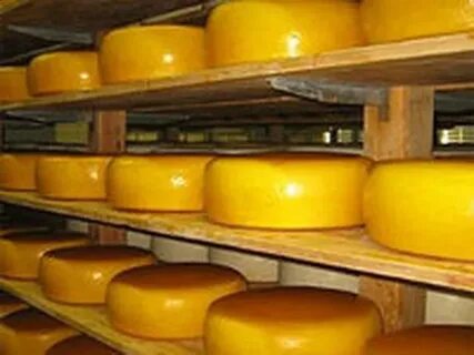 Сыры оптом от производителей