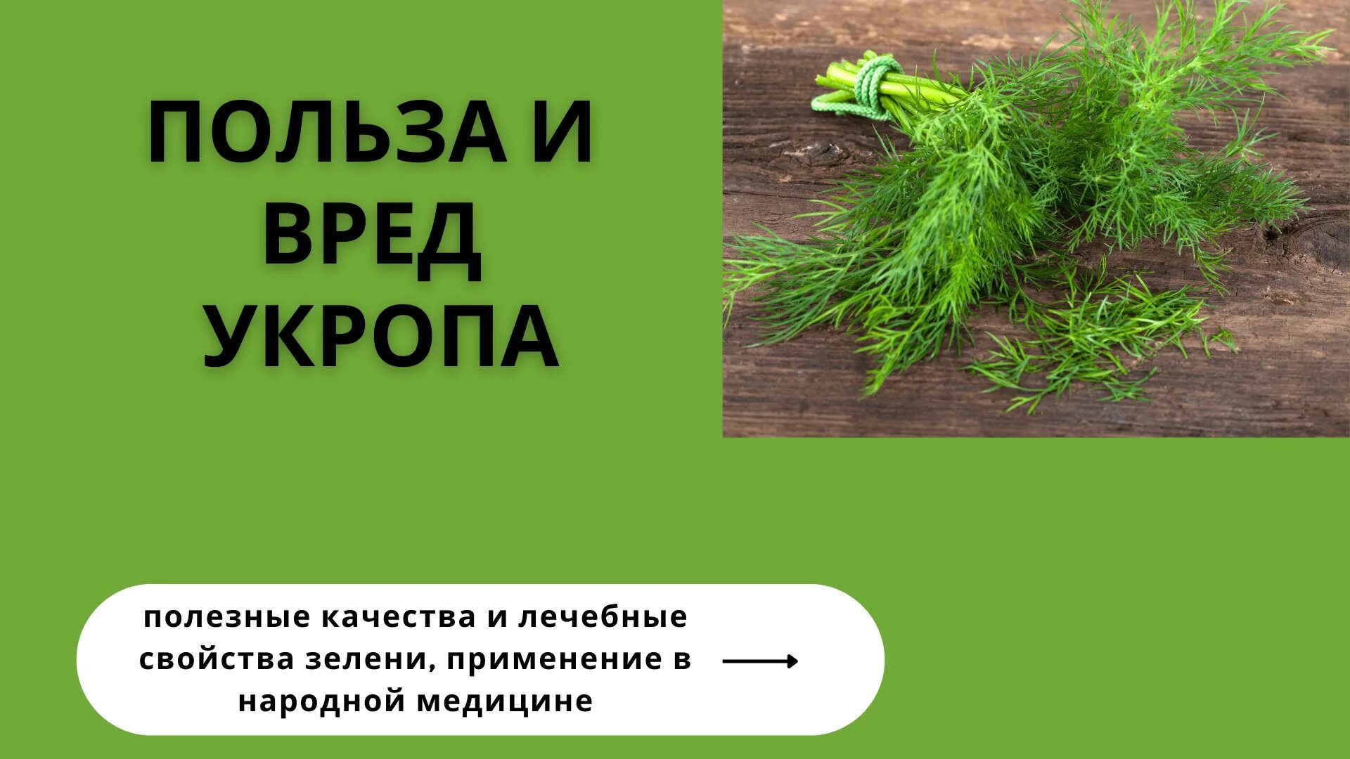 Укроп вред для организма. Укроп польза. Полезные свойства укропа. Укроп польза и вред для человека. Чем полезен укроп для организма человека.