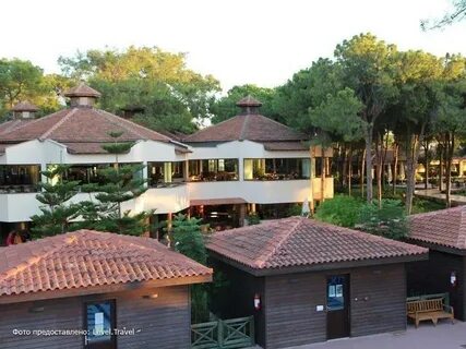 Champion village