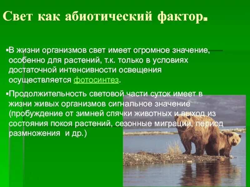 Условия необходимые для жизни организмов. Абиотические факторы свет. Значение света в жизни организмов. Приспособление организмов к абиотическим факторам. Свет как абиотический фактор.