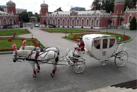 Коне в москве