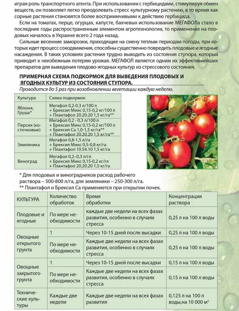 Спасатель томатов 3 в 1. Томатов для томатов инструкция. Томатов для томатов инструкция. Ревус от болезней томатов, 3 мл, кс. Ревус томат 3мл (200шт/уп) август.