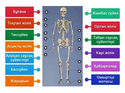 Жалаңаш үнді қыздары